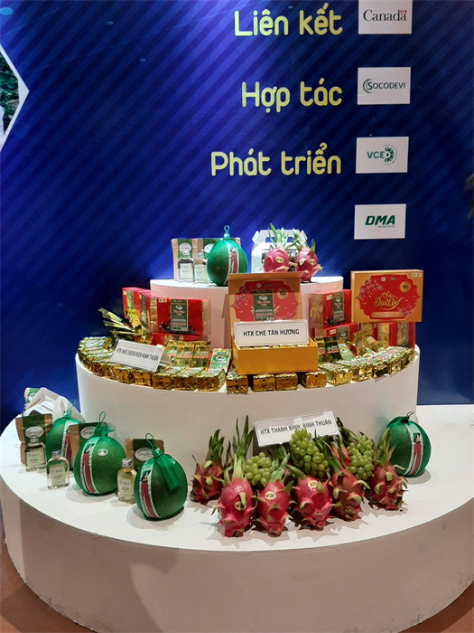 Hợp tác xã Bưởi da xanh Bến Tre tham dự “Diễn Đàn Kinh Tế Hợp Tác, Hợp Tác Xã Năm 2020” 